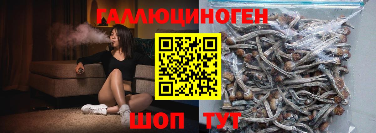 Артём  Галлюциногенные грибы прущие грибы  Вход с VPN 