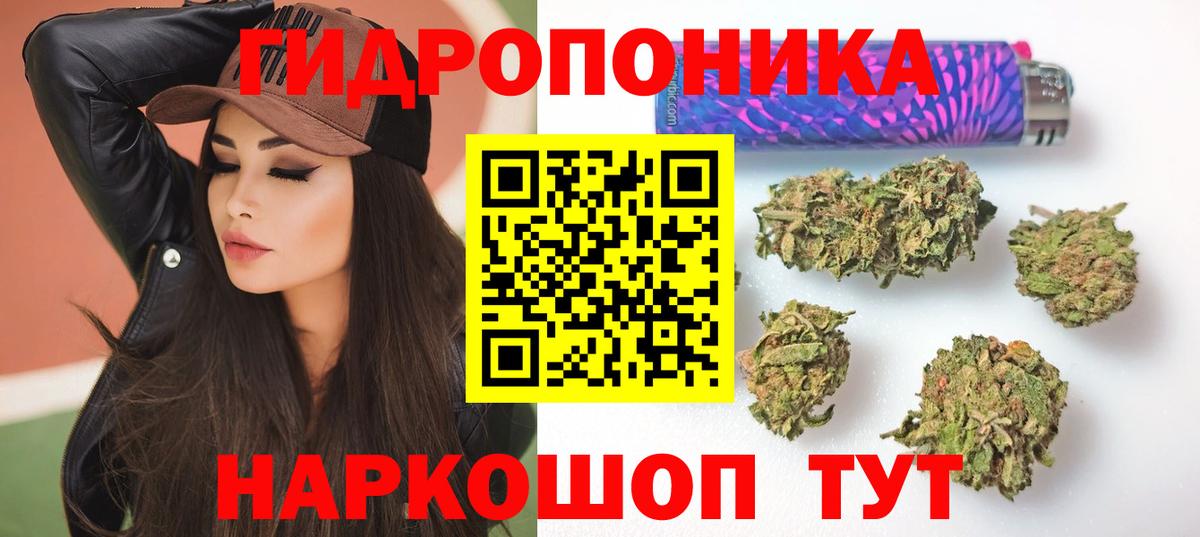 Конопля Ganja  Вход с VPN  Артём  Конопля Ganja  Каннабис ГИДРОПОН  Конопля сатива 